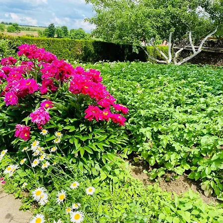 アパート Schwarzwald - Gemuetliches 2 Apartment! *