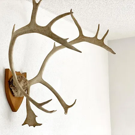 アパート Schwarzwald - Gemuetliches 2 Apartment! Dunningen