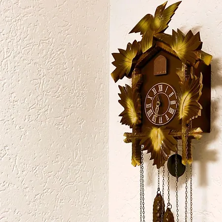 Schwarzwald - Gemuetliches 2 Apartment! *