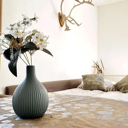 Schwarzwald - Gemuetliches 2 Apartment!