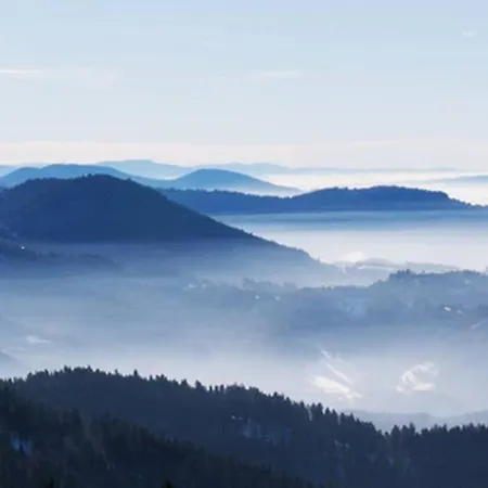 Schwarzwald - Gemuetliches 2 Apartment!